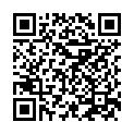QR code for 2 Brothers listing