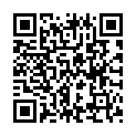 QR code for Capital Leasing Ltd. listing