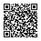 QR code for Diamond Group Construction & Decoration listing