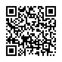 QR code for Flying Hawk Co., Ltd listing