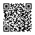 QR code for KZ-13 Garment listing