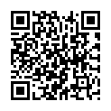 QR code for Lion City listing