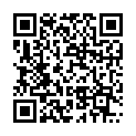 QR code for Max Myanmar Holding Co.,Ltd. listing
