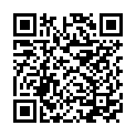 QR code for Mega Light Electronic listing