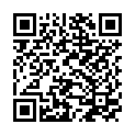 QR code for Peace World Computer listing