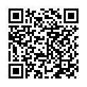 QR code for PP Stores listing
