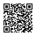 QR code for Princess Hair Accessories listing