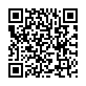 QR code for Pyay Soe listing