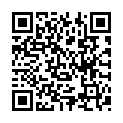 QR code for Ray Myanmar listing