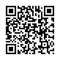 QR code for Sky Rays listing