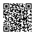 QR code for Star Jet listing