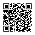 QR code for View Max Myanmar Technology listing